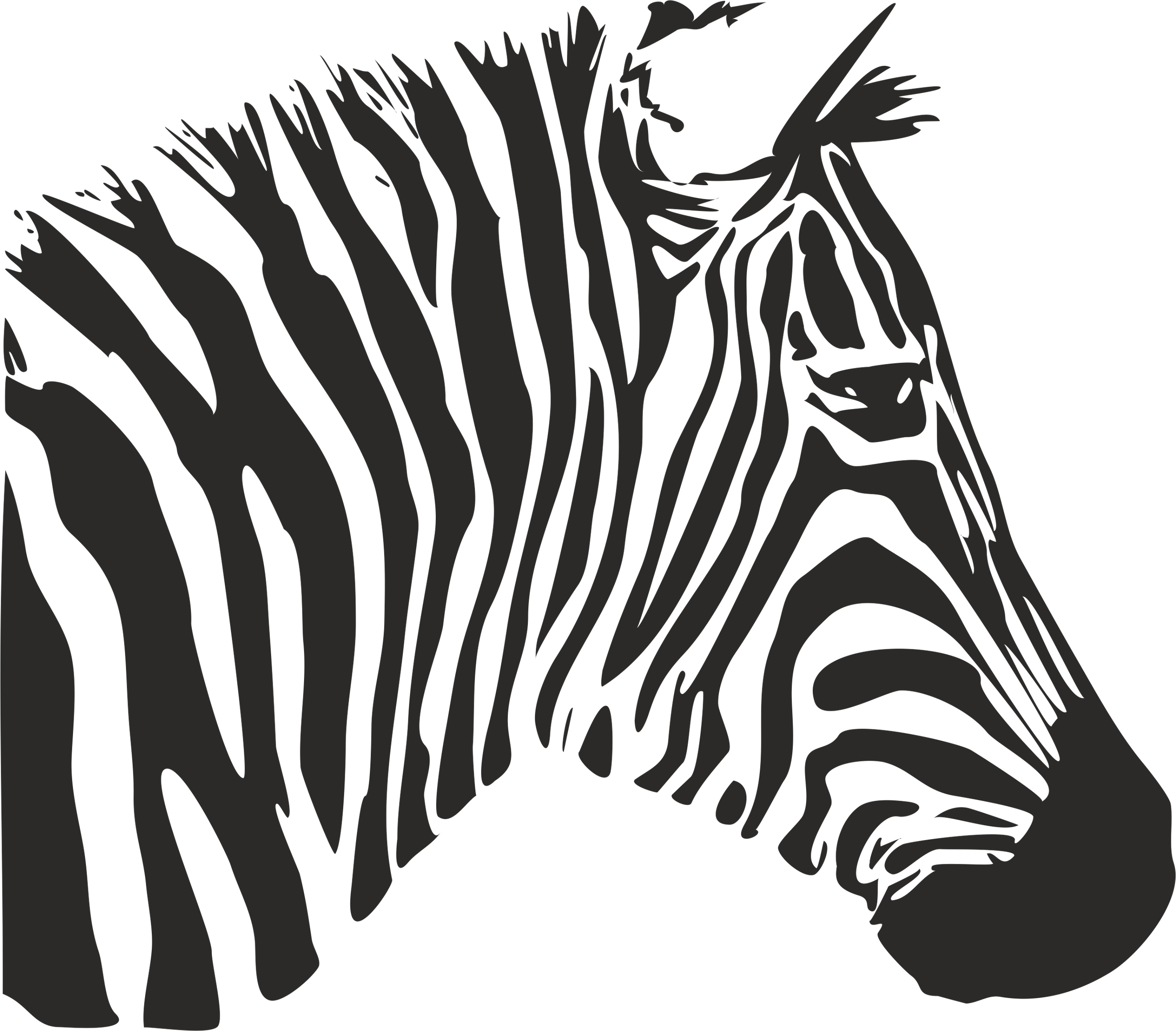 zebra designer free software